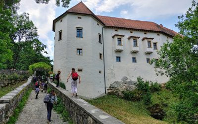 RAŠICA