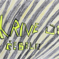 Alana_Zaloznik_5b_Krive_so_cebele