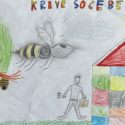 Aleksej_Hrvacanin_Rok_Stele_Zivic_4b_Vesoljske_cebele