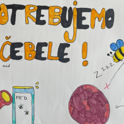 Julija_Zavrsnik_4b_Potrebujemo_cebele