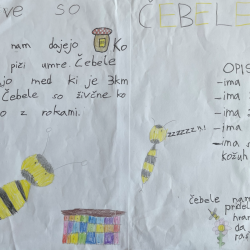 Kenan_Cehic_Matic_Kolmancic_4b_Krive_so_cebele