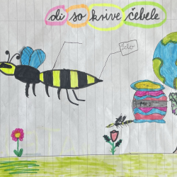 Rijana_Kismetovic_4b_Ali_so_krive_cebele