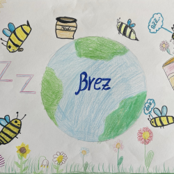 Rijana_Kismetovic_4b_Anisa_Selimoska_6b_Bzz