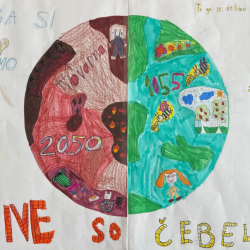 Anastasija_Bajovic_4b_Patricija_Bunderla_4a_Krive_so_cebele